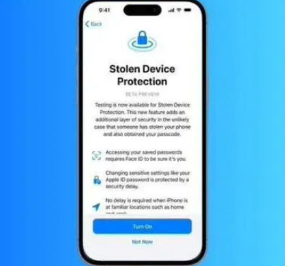 南坤镇苹果授权维修店分享被盗设备保护功能开启方法 