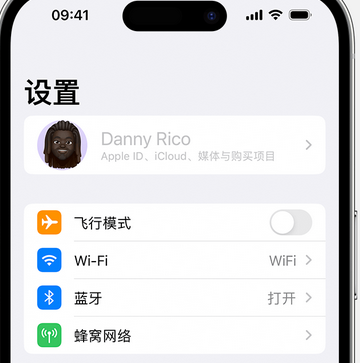 南坤镇appleID维修服务iPhone设置中Apple ID显示为灰色无法使用 