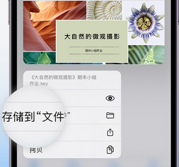 南坤镇apple维修中心分享iPhone文件应用中存储和找到下载文件