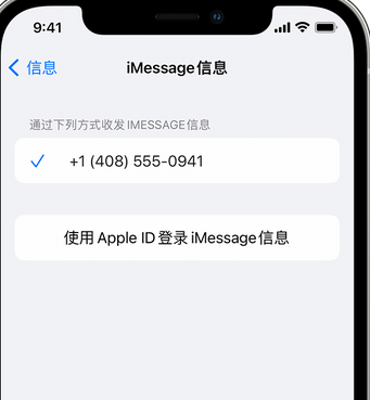 南坤镇apple维修iPhone上无法正常发送iMessage信息 