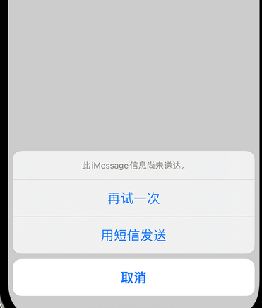 南坤镇apple维修iPhone上无法正常发送iMessage信息