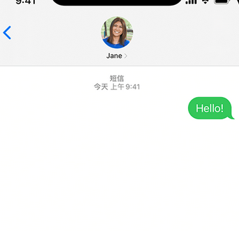 南坤镇apple维修iPhone上无法正常发送iMessage信息