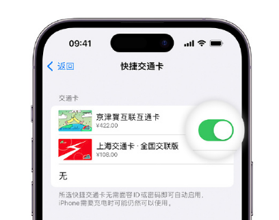 南坤镇apple维修点分享iPhone上更换Apple Pay快捷交通卡手绘卡面 