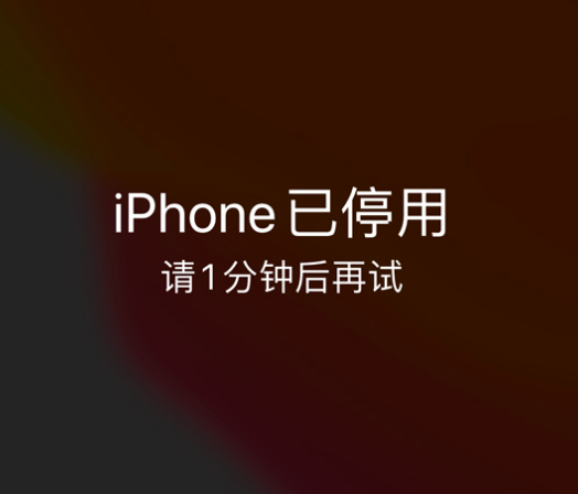 南坤镇苹果手机维修分享:iPhone 显示“不可用”或“已停用”怎么办？还能保留数据吗？ 