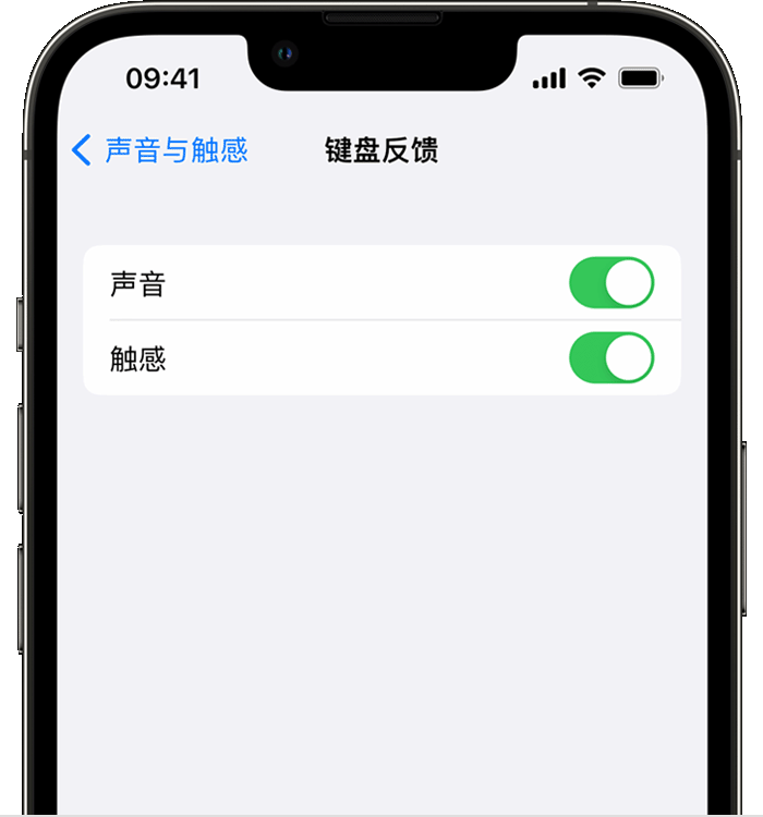 南坤镇苹果14维修店分享如何在 iPhone 14 机型中使用触感键盘 