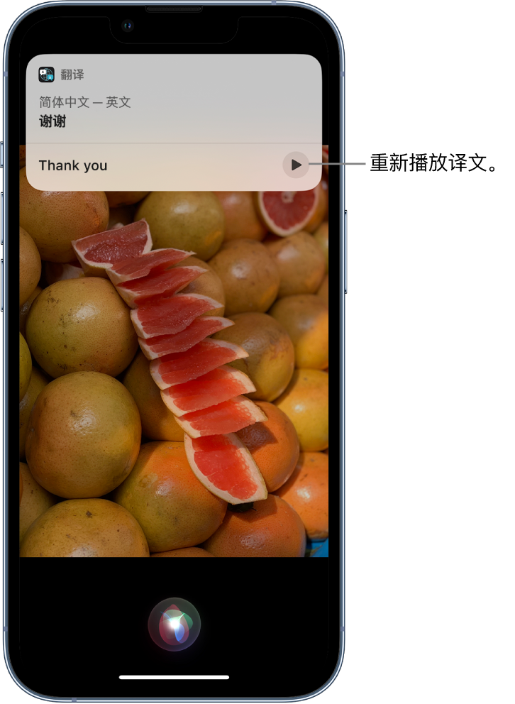 南坤镇苹果14维修分享 iPhone 14 机型中使用 Siri：了解 Siri 能帮你做什么 