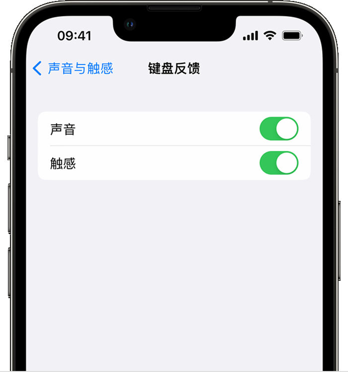 南坤镇苹果14维修分享iPhone 14 系列机型如何开启键盘声音或触感反馈 