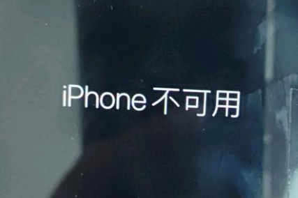 南坤镇苹果服务网点分享锁屏界面显示“iPhone 不可用”如何解决 