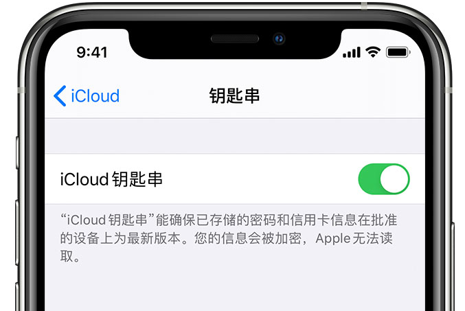 南坤镇苹果手机维修分享在 iPhone 上开启 iCloud 钥匙串之后会储存哪些信息 
