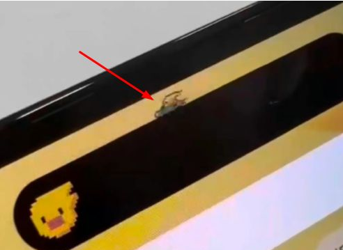 南坤镇苹果14维修分享iPhone 14 Pro Max灵动岛怎么养宠物 