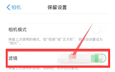南坤镇苹果13维修分享iPhone13拍照有绿点是怎么回事 