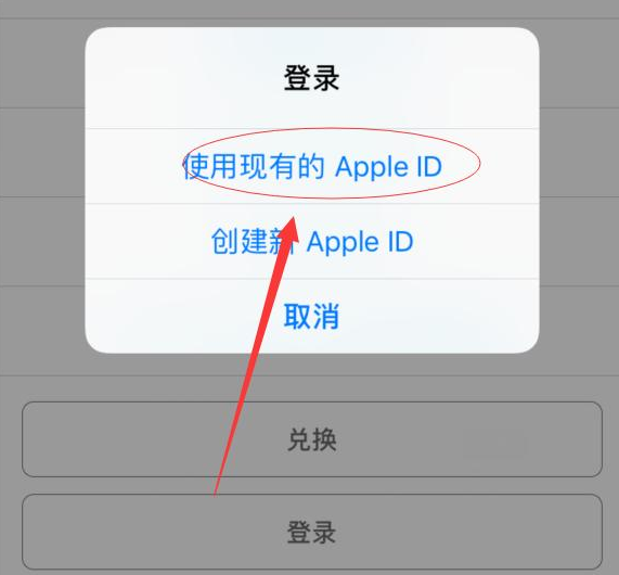 南坤镇苹果手机维修分享两台iPhone设备可以同时登录一个Apple ID吗 