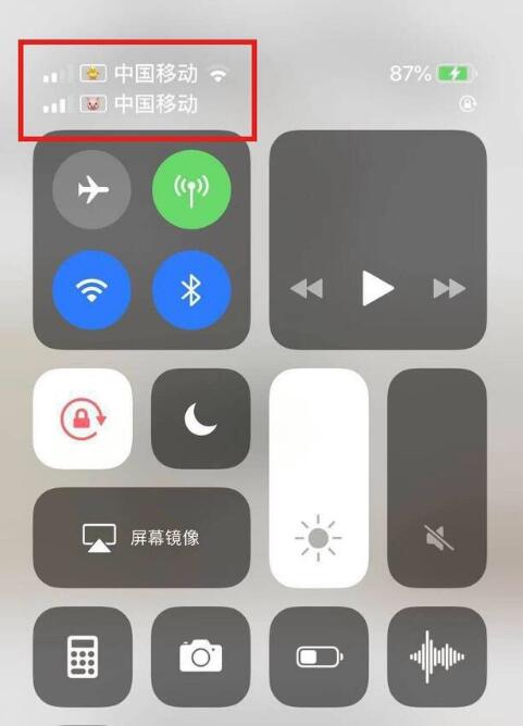 南坤镇苹果手机维修分享为 iPhone 12 双卡设置标签 