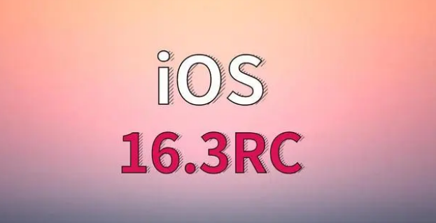 南坤镇苹果手机维修分享iOS 16.3 RC版升级_iOS 16.3 RC版一键刷机教程 